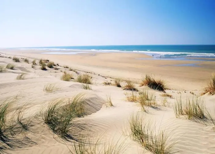 Holiday home La Mariniere, 3chb, A 500m De La - St Denis Oleron La Gautrie