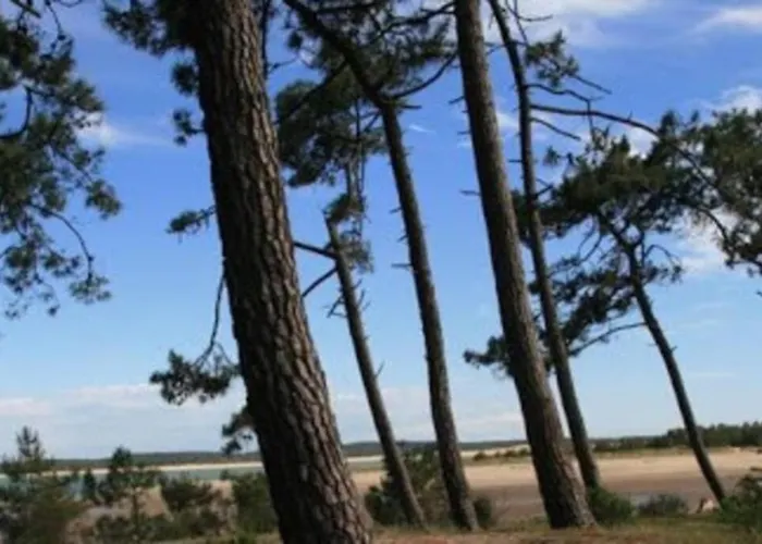 La Mariniere, 3chb, A 500m De La - St Denis Oleron Holiday home