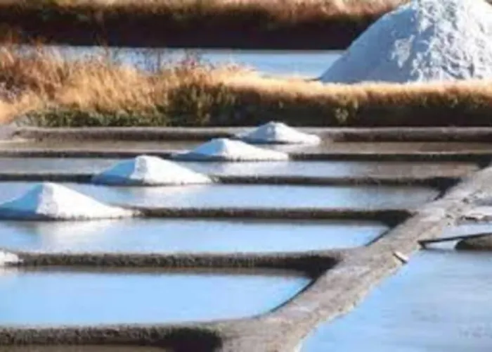 La Mariniere, 3chb, A 500m De La - St Denis Oleron La Gautrie